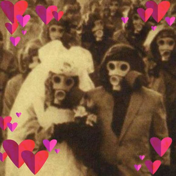 Meet your Posher, Lawrence - Picture 1 of 1